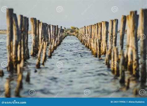 Lake Pomorie, Protected Area, Located on the Via Pontica Bird Migration ...