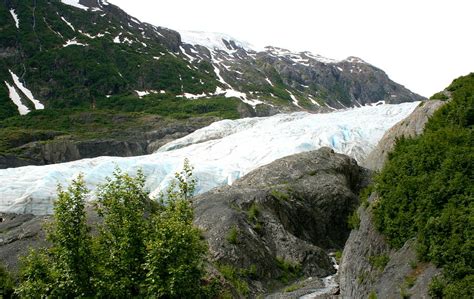 Exit Glacier Seward Alaska Photograph by Betty-Anne McDonald - Pixels