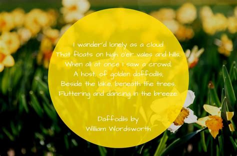 Daffodils-poem-William-Wordsworth - Visual English School - Learn English with Short Films