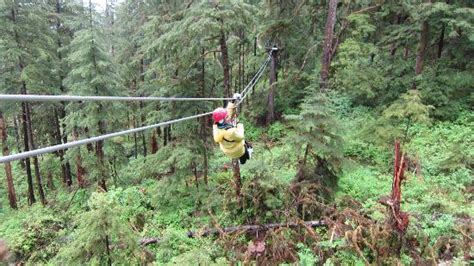 On the longest zip line offer Eagle Creek. - Picture of Alaska Canopy Adventures, Ketchikan ...