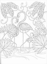 Paradise Coloring Pages  Home sketch template