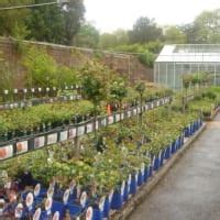 Toad Hall Garden Centre, Henley-On-Thames | Garden Centres - Yell