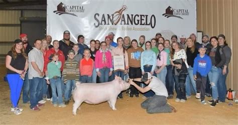 Champion Yorkshire Gilt - 2023 San Angelo Stock Show - Crossroads Genetics