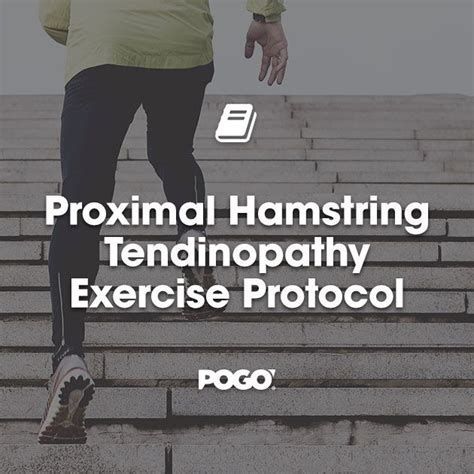 Bruno shares a Proximal Hamstring Tendinopathy exercise protocol Core ...