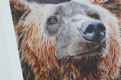 Limited Edition Fine Art Print - The Bear - Debbie Goulden Wildlife Art