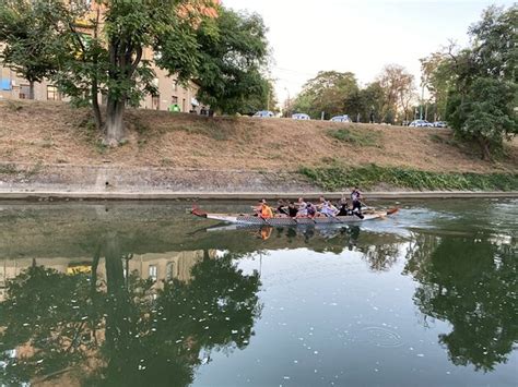 Bega River (Timisoara) - 2020 All You Need to Know BEFORE You Go (with Photos) - Tripadvisor