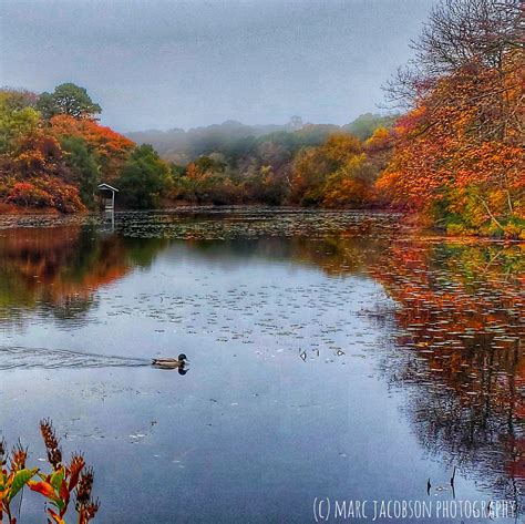 Red Lily Pond Project (RLPP) — craigville village