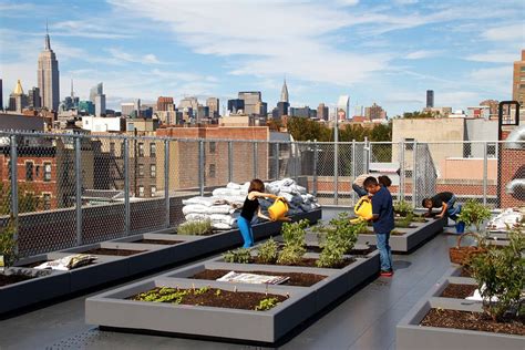 EV Grieve: Cool for kids: Schools unveiling the new rooftop garden on ...