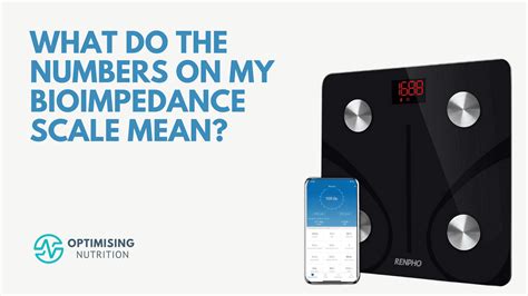 Bioimpedance Scales and Body Composition Analysis | Optimising Nutrition