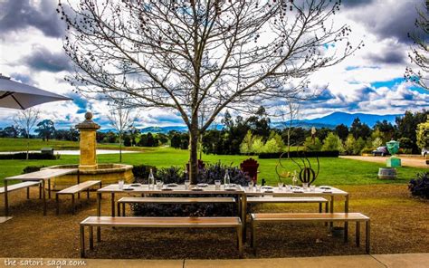 Top 10 Wineries to Visit in the Yarra Valley - Australia - Live Enhanced