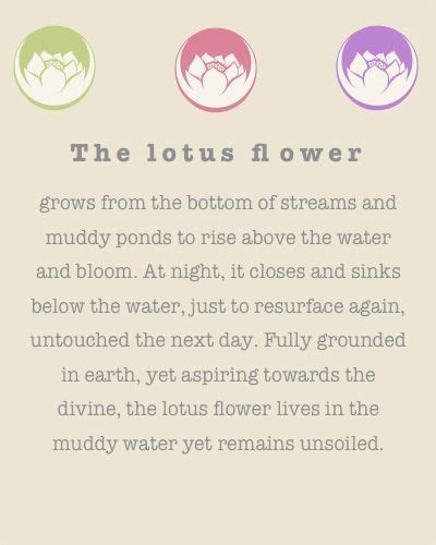 Image result for lotusflower with eternitysymbol (With images) | Lotus flower meaning, Lotus ...