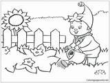 Picket Fence Coloring Pages At GetColoringscom  Free Printable sketch template