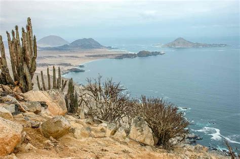 Explore Chile's Northern Coast With Luxury Travel to Arica | LANDED Travel