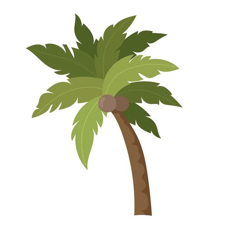 Palm Tree Png