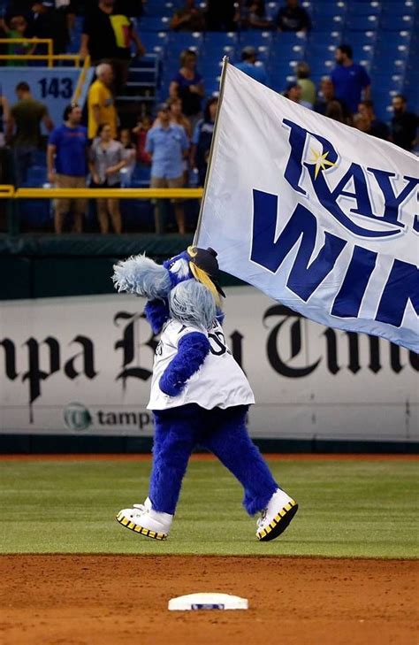 MLB - Photo Gallery - Yahoo Sports | Sports arena, Tampa bay rays, Mascot