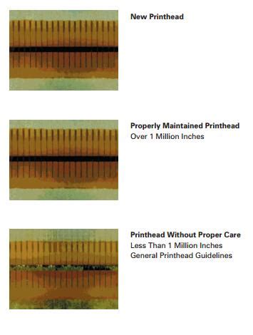 What Is The Average Lifespan of a Thermal Printhead? | MIDCOM Data Technologies, Inc.