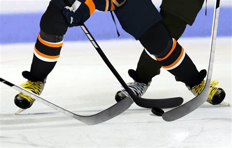 Choosing the right hockey stick curve Sportsa Articles