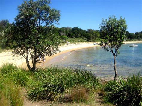 Bundeena Beach - a favorite spot for fishing when I was growing up. Growing Up, Fishing ...