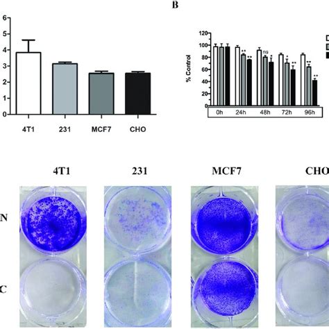 P. mirabilis treatment regulated the immune system in vivo. Results of ...