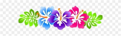 Luau Clip Art Borders Free Hibiscus Line - Hibiscus Flower Banner Png ...