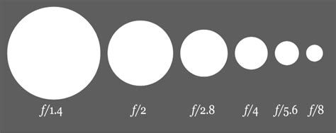 An Introduction to Aperture in Photography