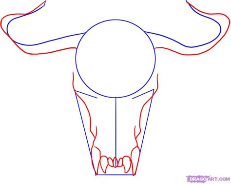 Longhorn Skull Drawing at PaintingValley.com | Explore collection of ...