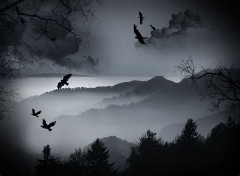 Crows Wallpapers - Wallpaper Cave