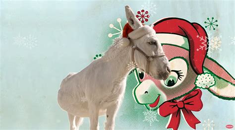 South Jersey Not a Fan of 'Dominick The Donkey' Christmas Song