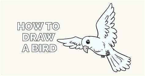 How to Draw a Bird | Easy Step-by-Step Drawing Guides