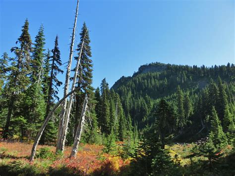 Junction and Cultus Lakes – Indian Heaven Wilderness – 10/03 & 10/04 ...