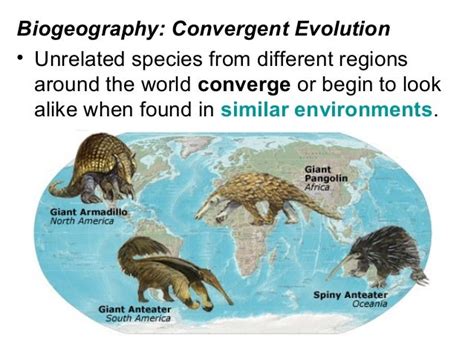 Evidence for evolution