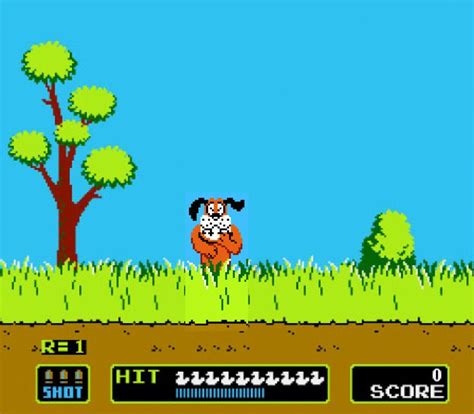 Duck Hunt dog laugh (Nintendo) | Childhood memories, Childhood, My ...