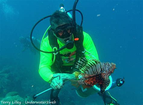 Lionfish Hunting Aruba