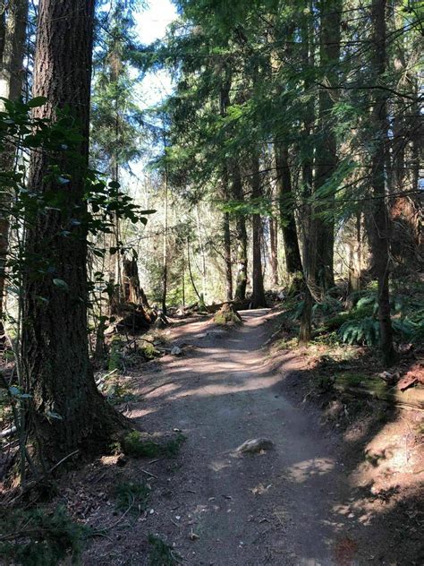 10 Best Burnaby Trails For An Easy Day Out In Nature – Noms Magazine