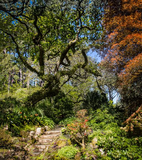 Wellington Botanical Gardens on Behance