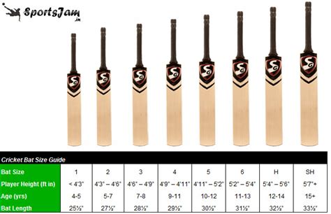 Sportsjam Cricket Bat Buying Guide