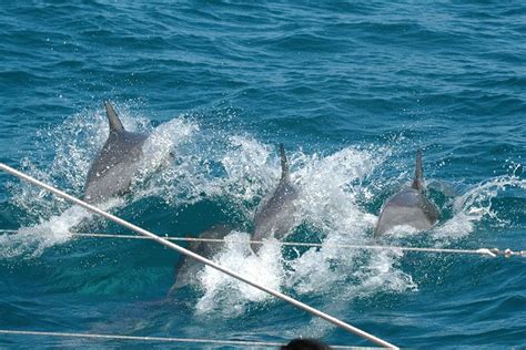 Coffs Harbour Tours, Travel & Activities for your Magical Journey to Australia