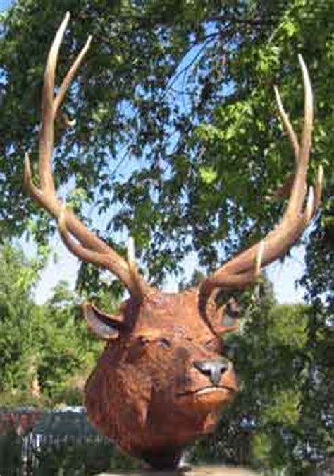 Elk Head Wall Mount , Chain Saw Carving