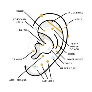 Our Guide for Helix Piercings - Essential Beauty & Piercing