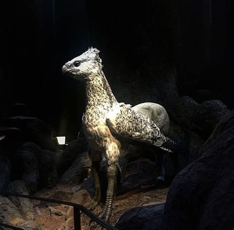 Hippogriff, Harry Potter - Warner Bros Studio Tour | Making of harry potter, Harry potter ...