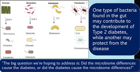 Gut Microbiota & Diabetes/Metabolic Health - What Physicians Must Know - CME INDIA