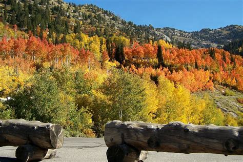 Fall Colors, Little Cottonwood Canyon. Salt Lake City, Utah.