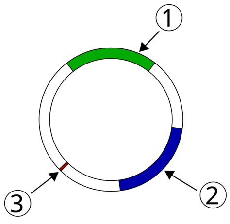 Plasmid-mediated resistance - Wikiwand