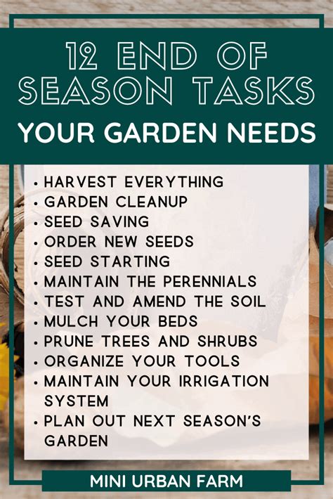 12 End of Season Gardening Tasks for a Successful Garden - Mini Urban Farm