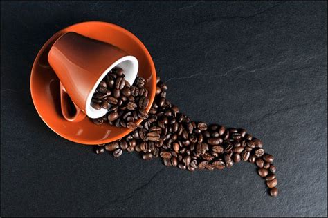 Best French Roast Coffee - starbmag