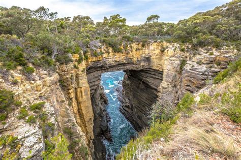 Tasman National Park, Tasmania | The Natural Beauty of the Tasmanian ...