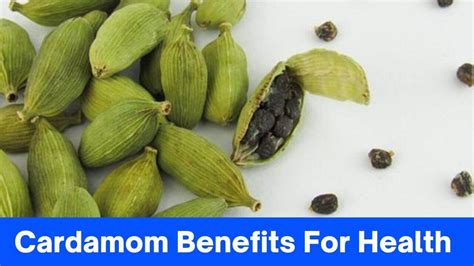 14 Cardamom Benefits For Health Galore » 2024