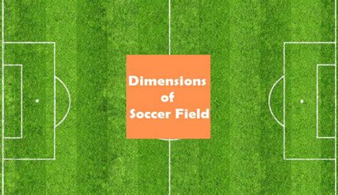 What Are The Dimensions of a World Cup Soccer Field? (All Dimensions ...