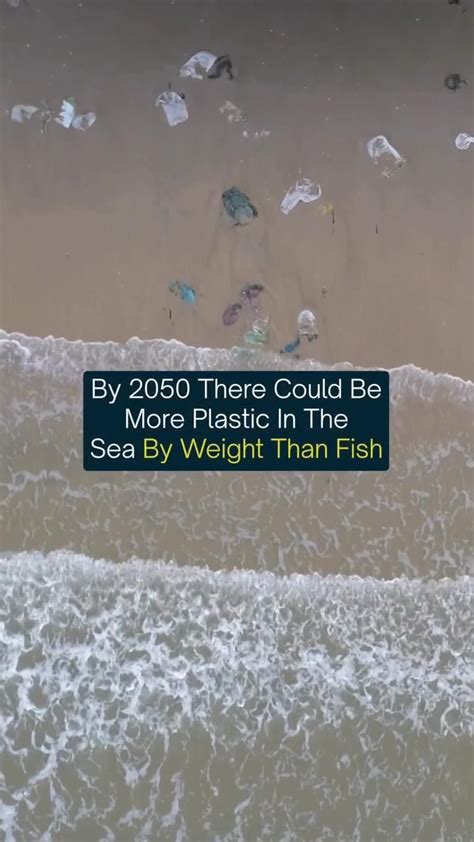 How Our Trash Affects Marine Life | Plastic in the sea, Ocean ...