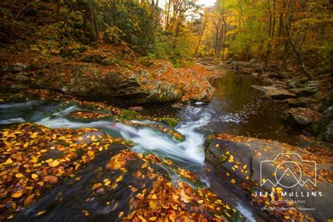 Photo gallery: Smoky Mountain fall color | The Appalachian Adventurer ...